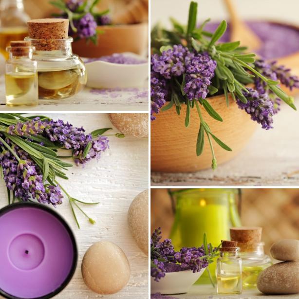 French Lavender Essential Oil 1oz